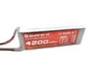 11.1V 4200 mAh Lithium Polymer Battery (Li Po) - Image 2